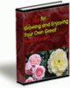 Thumbnail 101 Tips For Growing Your Own Great Rose Garden Thumbnail 101 Tips For Growing Your Own Great Rose Garden