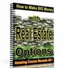Thumbnail How To Make Big Money with Real Estate Options 