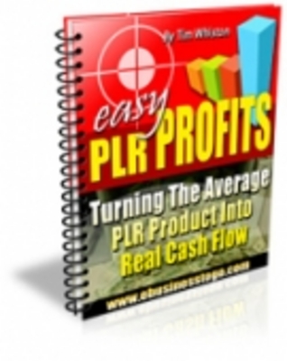 Product picture Easy PLR Profits 