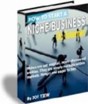 Product picture How to Start A Niche Business On Internet